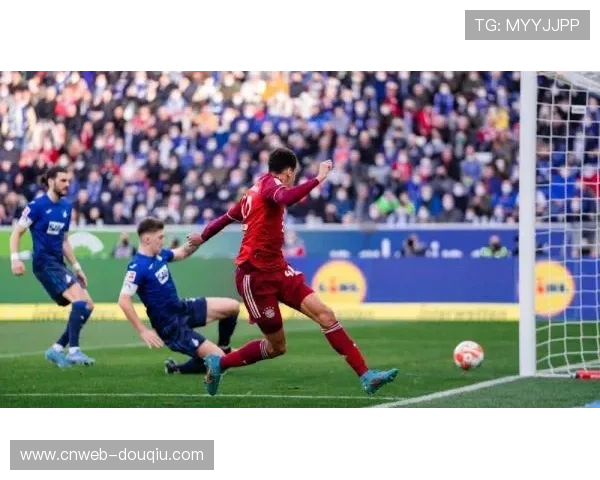 拜仁迎战霍芬海姆，格雷罗伤愈复出成看点