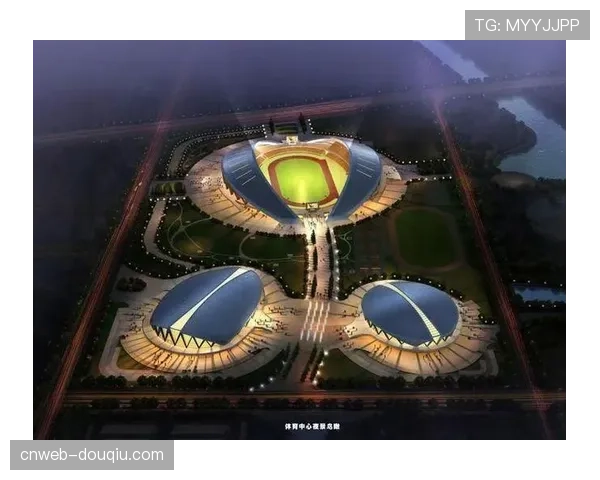 地方政府税收优惠与场馆建设支持，职业体育发展环境优化